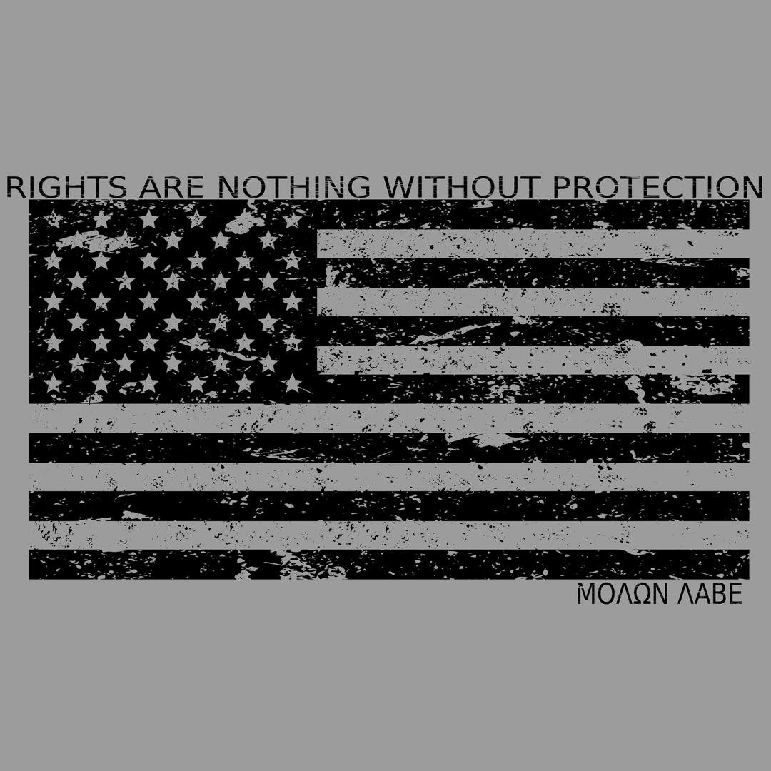 Rights Are Nothing Without Protection
